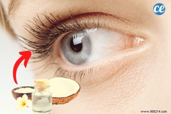 9 Natural Tips To Grow Eyelashes Fast. 