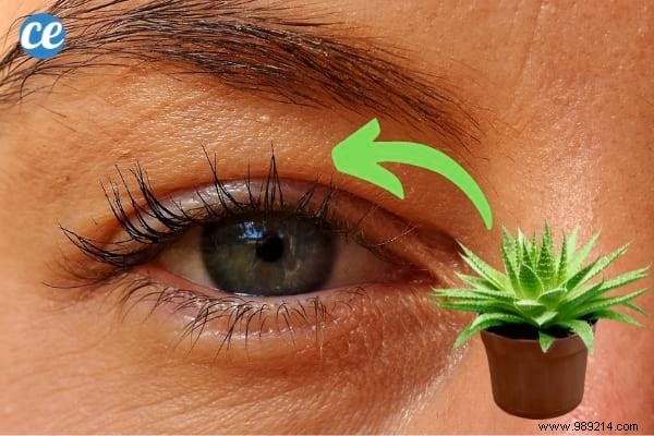 9 Natural Tips To Grow Eyelashes Fast. 