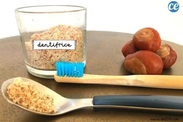 Make Your Own Whitening Toothpaste With Chestnuts (Free &Easy). 