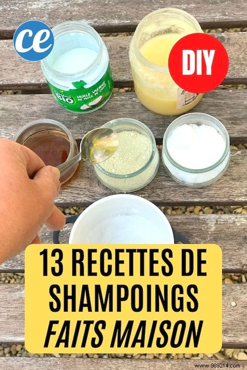 13 Easy Recipes To Never Buy Shampoo Again. 