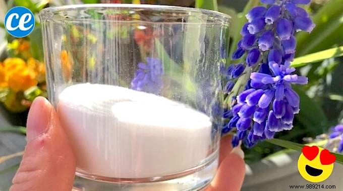 How To Make Your 100% Natural Deodorant In 1 Min Chrono. 