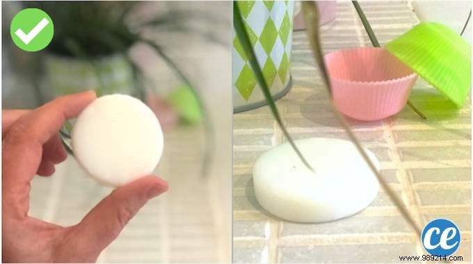 Finally A SOLID SHAMPOO Recipe Easy &Quick to Make. 