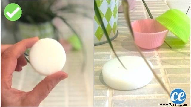 Finally A SOLID SHAMPOO Recipe Easy &Quick to Make. 