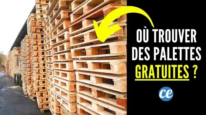 Where To Find FREE Wooden Pallets Near You? 