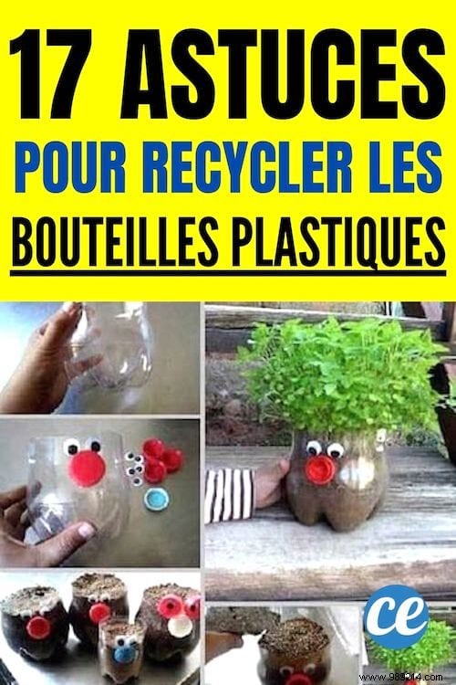 17 Brilliant Ideas For Reusing Plastic Bottles. 