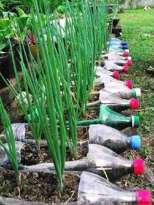 17 Brilliant Ideas For Reusing Plastic Bottles. 