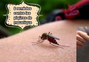 8 Home Remedies For Itchy Mosquito Bites. 