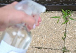 The 2-Minute Homemade Weed Killer That Weeds HATE! 