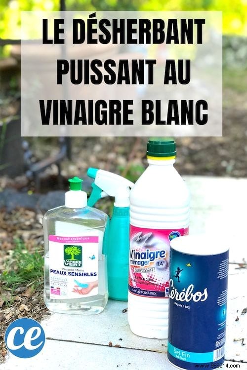 Powerful and Easy to Make:Homemade White Vinegar Weed Killer. 