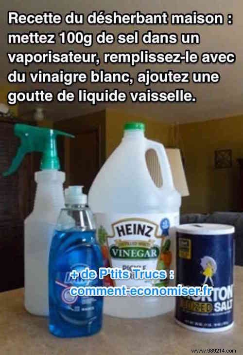 Powerful and Easy to Make:Homemade White Vinegar Weed Killer. 