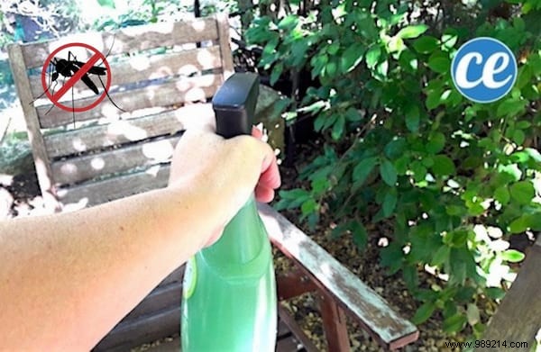 Get Rid Of Mosquitoes In The Garden With This Homemade Spray. 