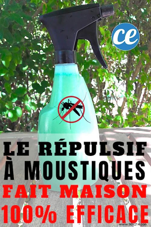 Get Rid Of Mosquitoes In The Garden With This Homemade Spray. 