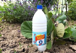 10 Amazing Uses of White Vinegar IN THE GARDEN. 