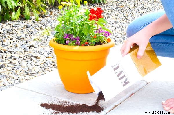 18 Gardening Tips That Will Simplify Your Life. 