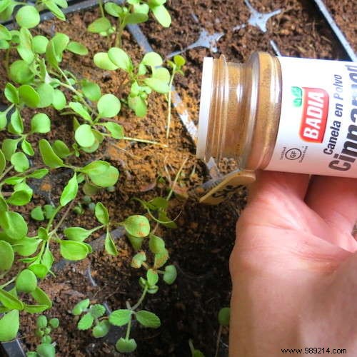 18 Gardening Tips That Will Simplify Your Life. 