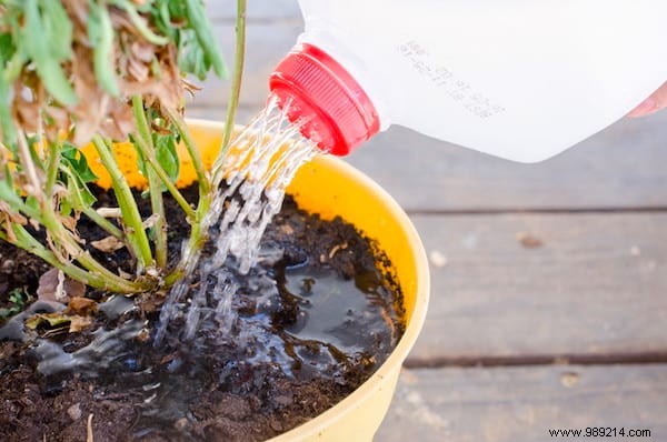 18 Gardening Tips That Will Simplify Your Life. 