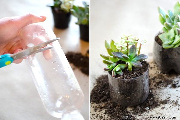 18 Gardening Tips That Will Simplify Your Life. 