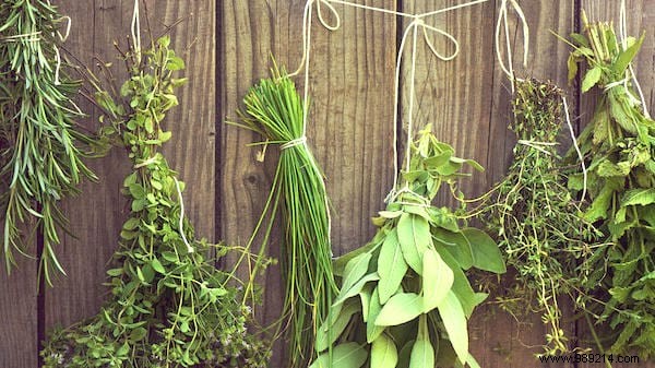 13 mistakes to avoid when growing herbs at home. 