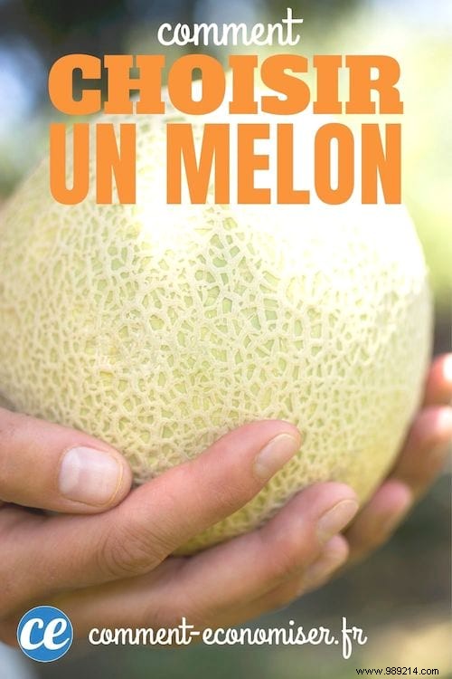 10 Tricks For Growing BEAUTIFUL MELONS. 