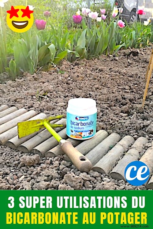 Vegetable Garden:3 Uses Of Bicarbonate That Will Simplify Your Life. 