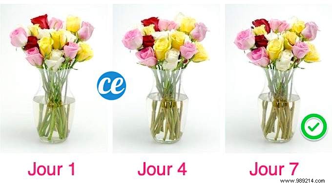 How To Make A Bouquet Last Longer? My Florist s Tip. 