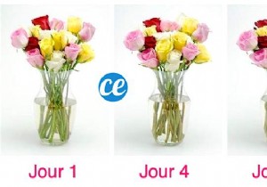 How To Make A Bouquet Last Longer? My Florist s Tip. 