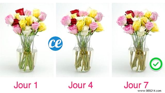 How To Make A Bouquet Last Longer? My Florist s Tip. 