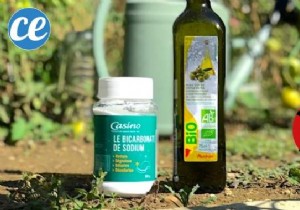 The Homemade Repellent Ready In 2 Minutes That All Garden Pests HATE. 