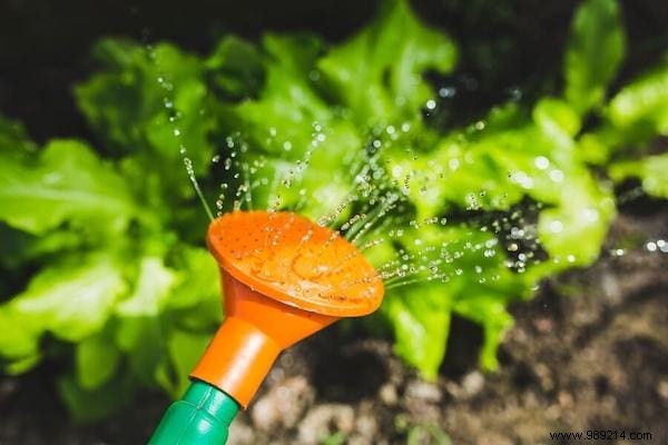 23 gardening tips to save tons of water in the garden. 