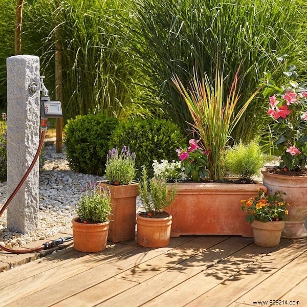 23 gardening tips to save tons of water in the garden. 