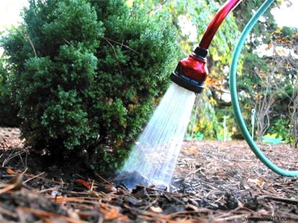 23 gardening tips to save tons of water in the garden. 