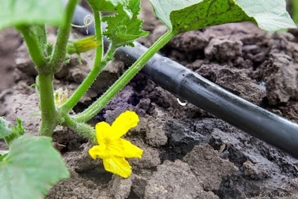 23 gardening tips to save tons of water in the garden. 