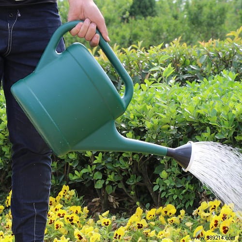 23 gardening tips to save tons of water in the garden. 