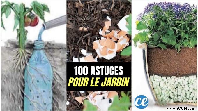 100 Garden Hacks That Make Life Easier. 