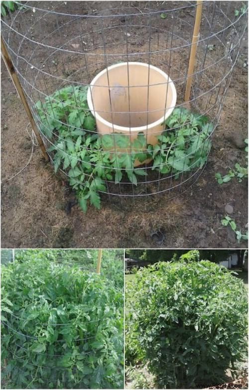 100 Garden Hacks That Make Life Easier. 