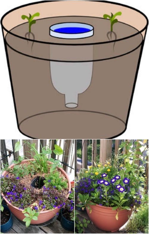 100 Garden Hacks That Make Life Easier. 