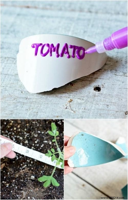 100 Garden Hacks That Make Life Easier. 