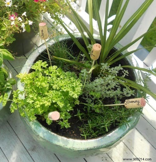 100 Garden Hacks That Make Life Easier. 