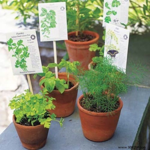 100 Garden Hacks That Make Life Easier. 