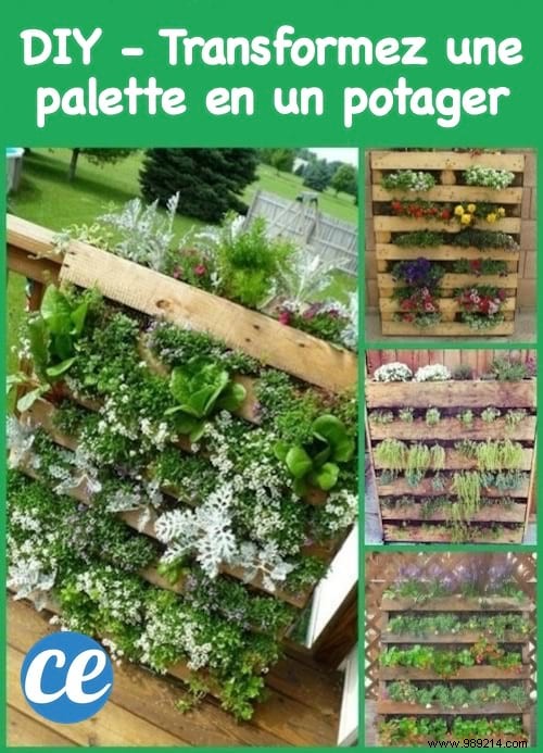 100 Garden Hacks That Make Life Easier. 