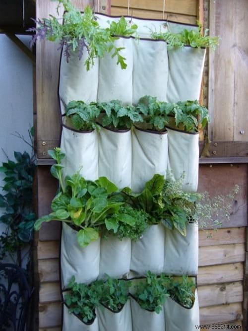 100 Garden Hacks That Make Life Easier. 