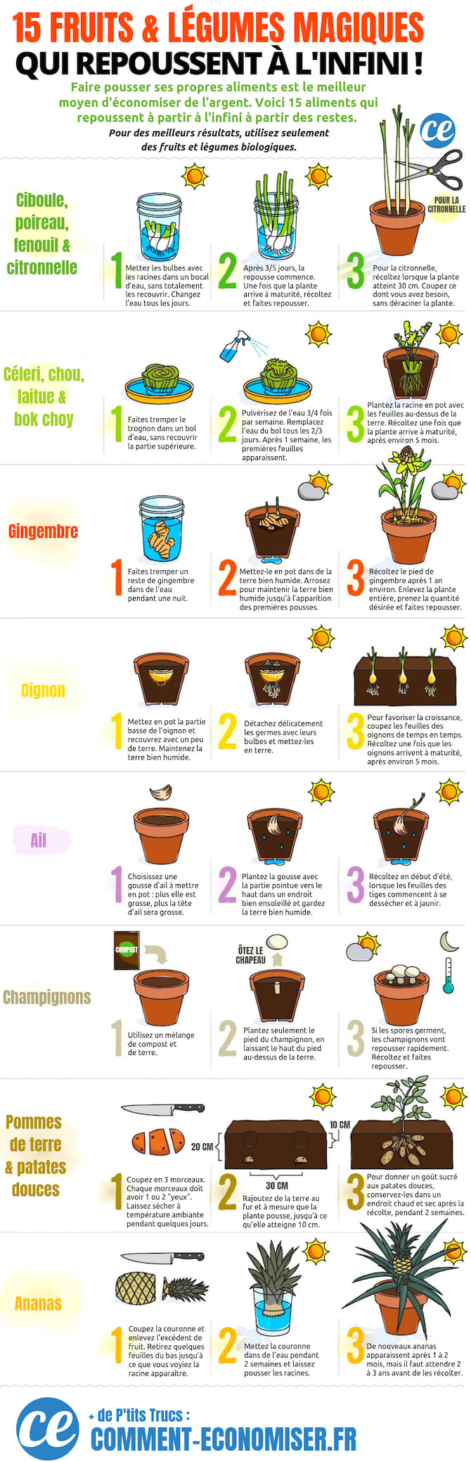 100 Garden Hacks That Make Life Easier. 