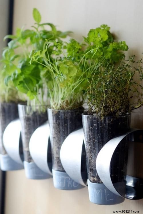 100 Garden Hacks That Make Life Easier. 