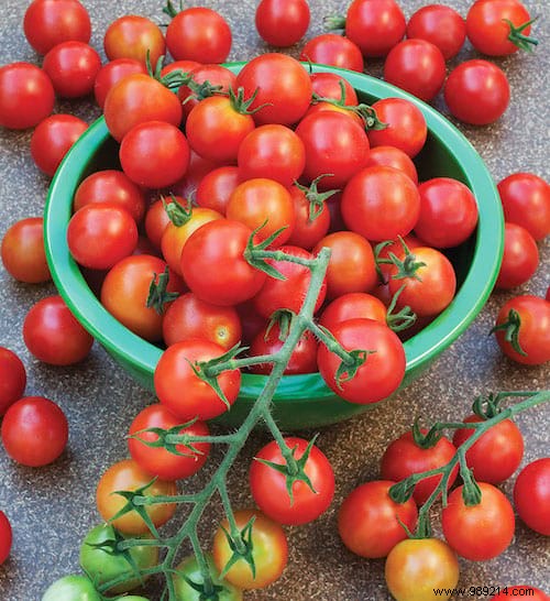 23 Tricks To Grow A Bunch Of Tomatoes On Your Balcony. 