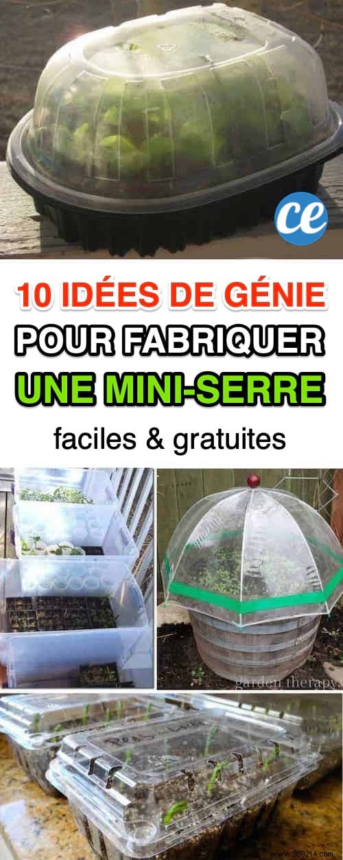 10 Super Easy Ideas To Make A Mini Greenhouse For FREE. 