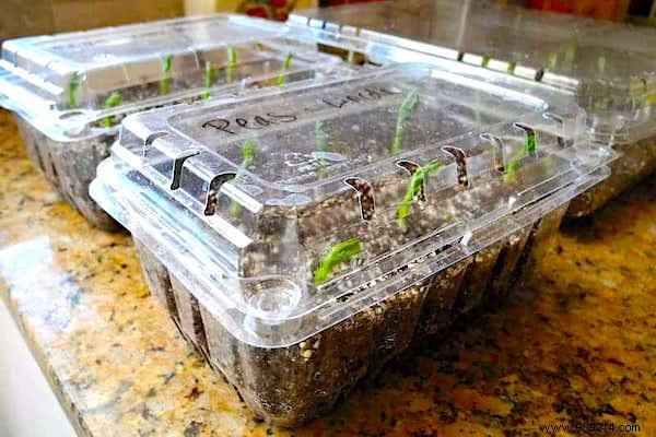 10 Super Easy Ideas To Make A Mini Greenhouse For FREE. 