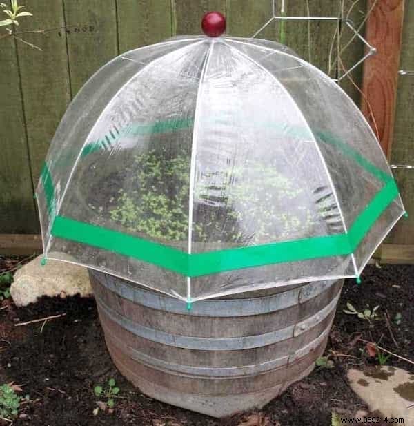 10 Super Easy Ideas To Make A Mini Greenhouse For FREE. 