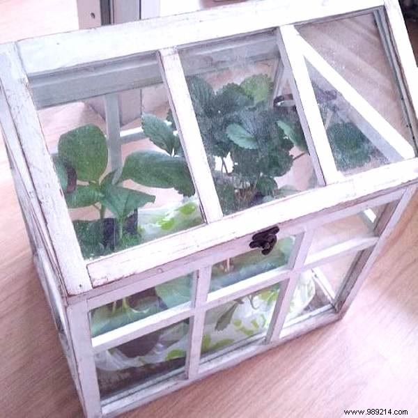 10 Super Easy Ideas To Make A Mini Greenhouse For FREE. 