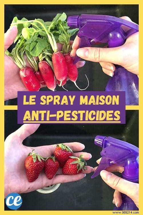 Strawberries, Apples, Tomatoes... My Spray Which Removes Pesticides from Fruits and Vegetables. 