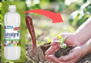 Use White Vinegar In The Garden And These 17 Miracles Will Happen. 